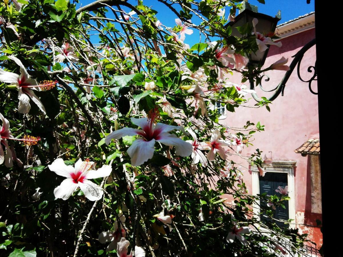 Venetian Well Cozy Apartment Corfu Old Town Dış mekan fotoğraf